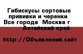 Гибискусы сортовые, прививки и черенки - Все города, Москва г.  »    . Алтайский край